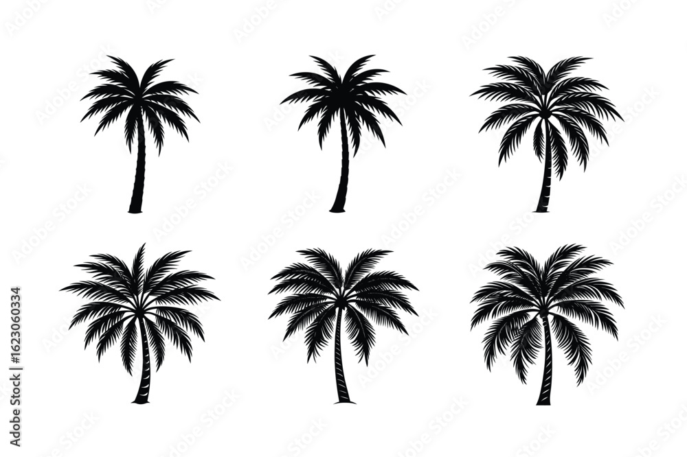Obraz premium Palm Tree Bundle