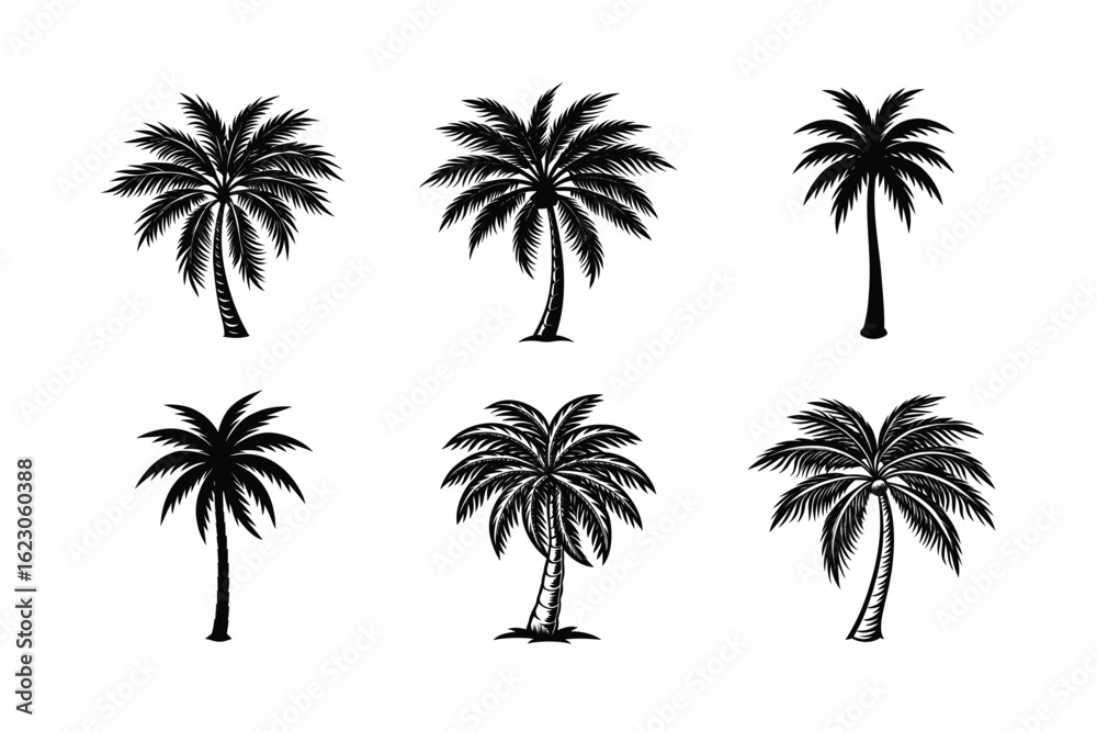 Fototapeta premium Palm Tree Bundle