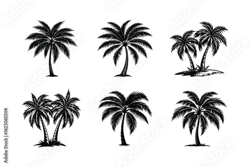 Palm Tree Bundle