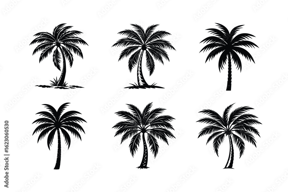 Obraz premium Palm Tree Bundle