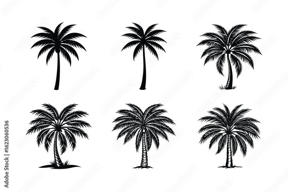 Obraz premium Palm Tree Bundle
