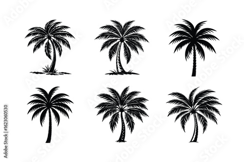 Palm Tree Bundle