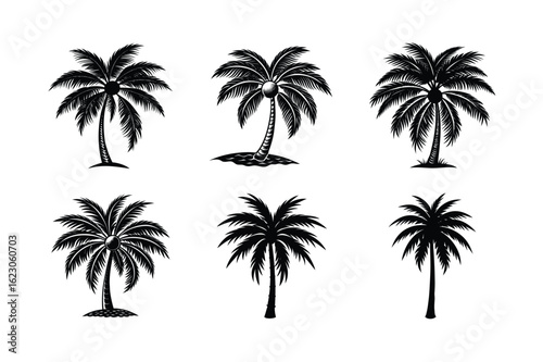 Palm Tree Bundle