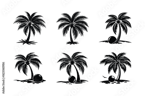 Palm Tree Bundle
