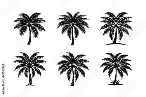 Palm Tree Bundle