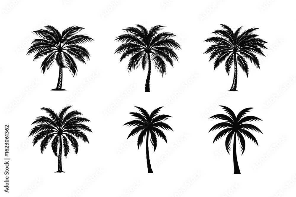 Obraz premium Palm Tree Bundle