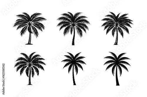 Palm Tree Bundle