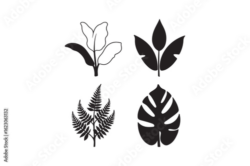 Four different types of botanical leaves illustrated in black and white