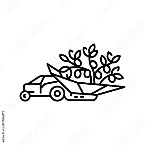 olive harvesting black line icon.