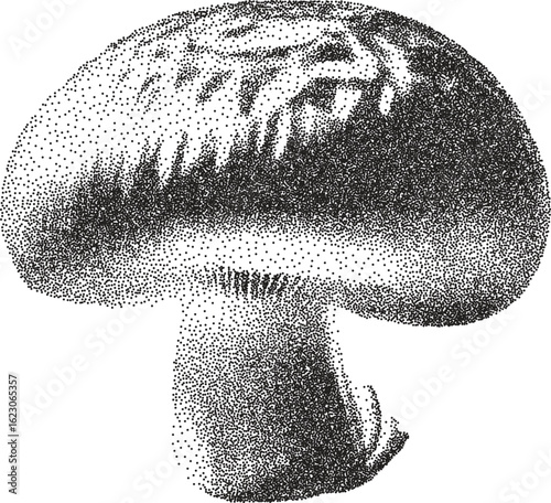 Mushroom vintage y2k stipple art, fungi halftone stipple brutalist retro vector png with transparent background, shroom 2000s aesthetic photocopy effect tattoo