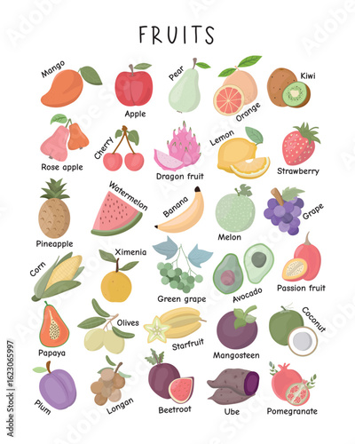 Fruits Educational Poster – Cute Fruit Illustrations for Kids Learning. Colorful fruit chart with 35 fruit names for kids. Perfect for classrooms, homeschooling, or early childhood learning visuals