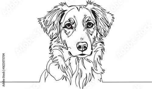 Golden Retriever Dog Portrait: Loyal Companion & Family Pet