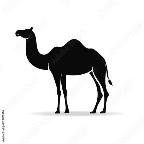 Silhouette of a Camel Standing on Sand with Shadow Illustration