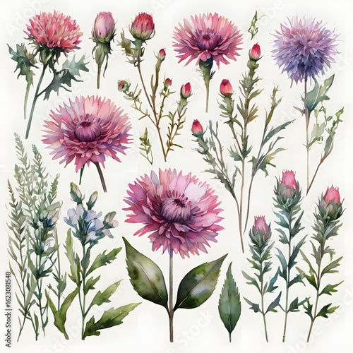 A vibrant collection of pink, purple, and white chrysanthemum flowers blooming in a summer garden