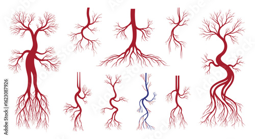 Abstract representation of circulatory system branching arteries and veins mimicking tree roots in vivid scarlet and azure hues