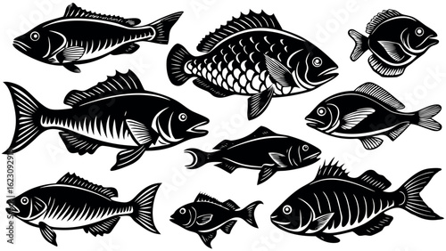 Collection of diverse aquatic life forms represented as clean black and white fish silhouettes