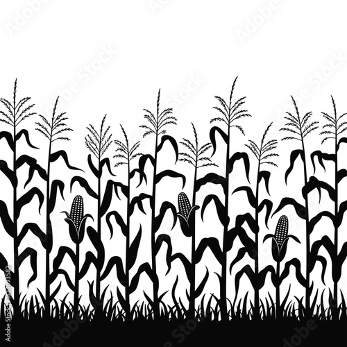Black and white silhouette of a cornfield with stalks and ears of corn