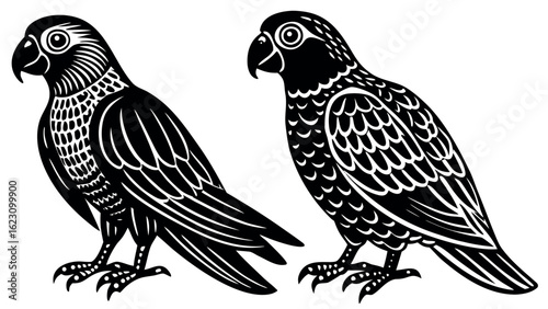 Collection of diverse parrot species illustrated in a striking black silhouette design