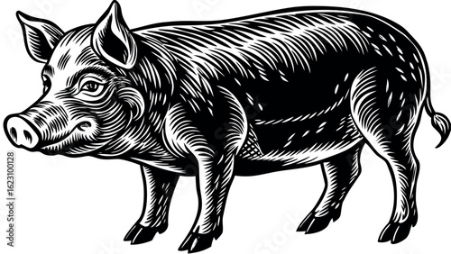 Charming pig silhouette design for various applications and creative projects silhouette