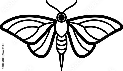 Silk Moth Minimalist Line Art Vector Black and White