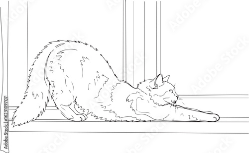 Cute Longhair Cat Stretching on Windowsill, Line Art Illustration
