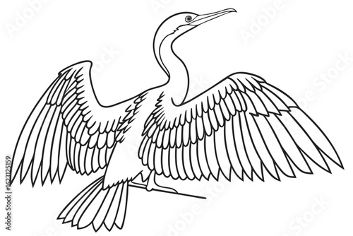 coloring page line art the anhinga black vector