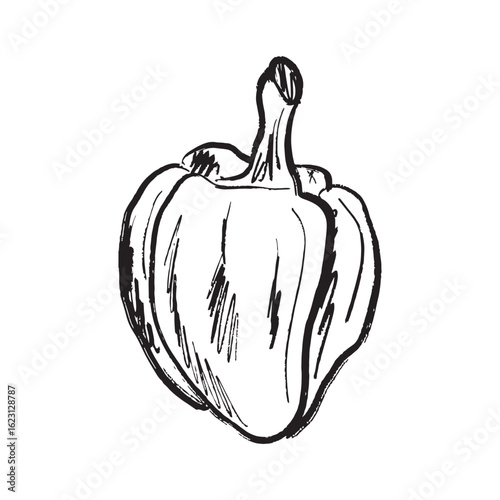 Big bell pepper design in black brush stroke texture isolated on white. Hand drawn vector sketch illustration in vintage charcoal ink. Tasty vegetable design, salad ingredient, farm, agriculture.