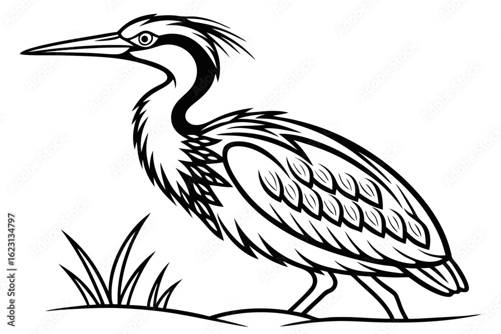 Fototapeta premium coloring page line art the bittern black vector