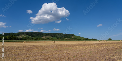 Obraz na plátně Horrheim