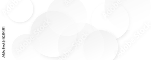 Abstract geometric white color circles lines background. White and gray color geometric shape and lines seamless background design.