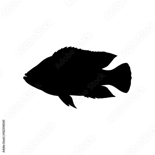Tilapia fish silhouette vector flat illustration design.