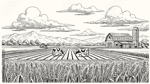 vector sketch Green grass field on small hills. Meadow, alkali, lye, grassland, pommel, lea, pasturage, farm