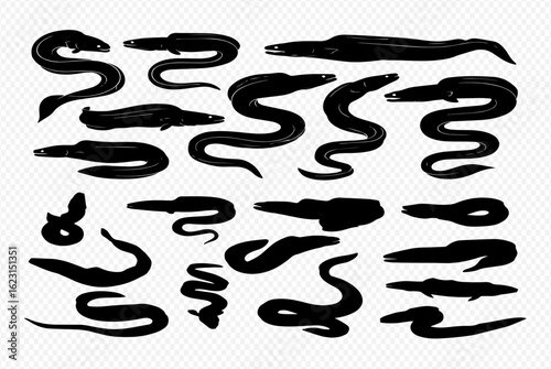 A collection of black eel silhouettes in various swimming and coiled poses, presented as a graphic icon set.