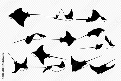 A collection of black and white illustrations depicting various species of stingrays and eagle rays swimming.