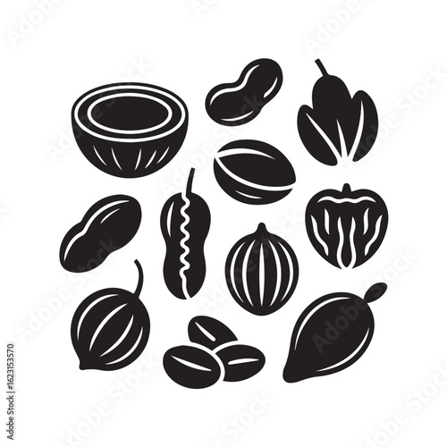 Collection of various healthy nuts and seeds arranged in a pattern silhouette style for food and nutrition concepts