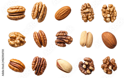 A collection of nuts walnuts almo isolated on white background, png