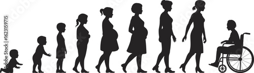 PrintFemale life stages silhouette from crawling baby to elderly in wheelchair, woman aging process, timeline, growth, development, generation cycle