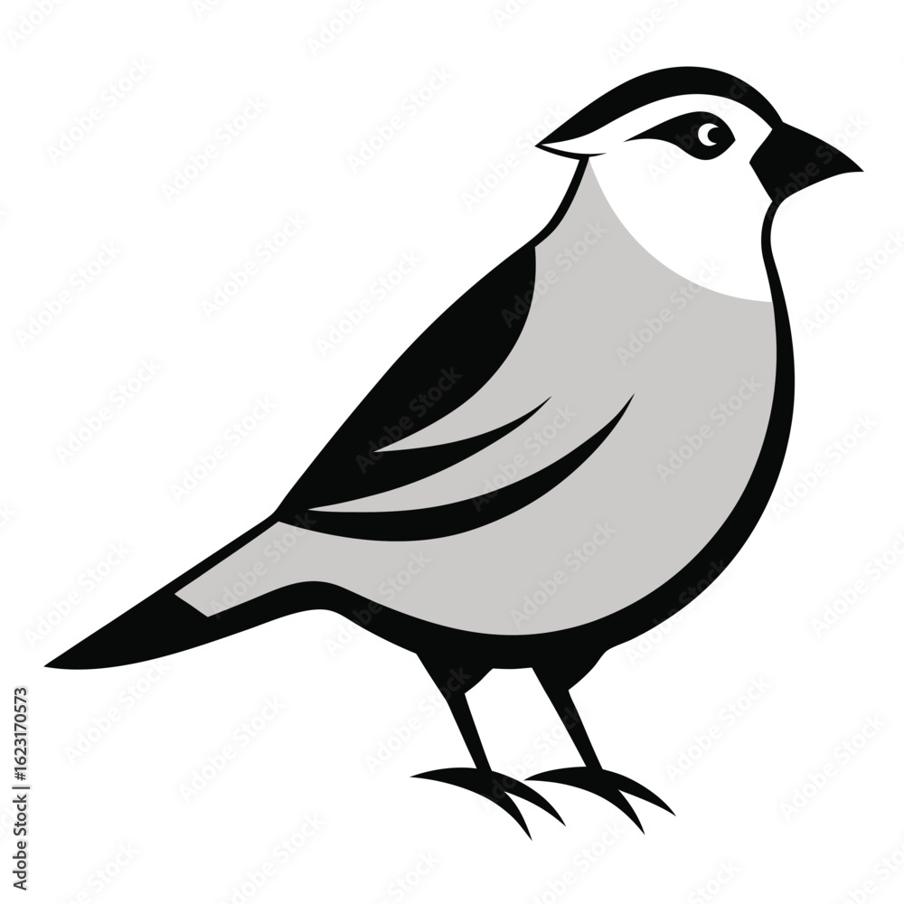Fototapeta premium Solid color White-Crowned Sparrow animal vector design