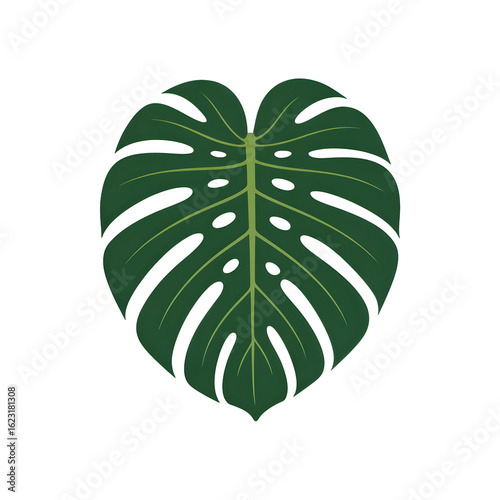 Vector art of a vibrant green monstera leaf is isolated on transparent background, showcasing its unique fenestrations