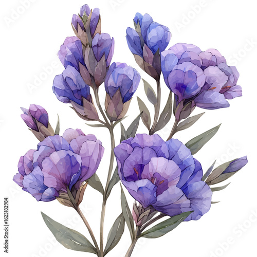 watercolor of Statice Flower, vector, isolated on a white background.