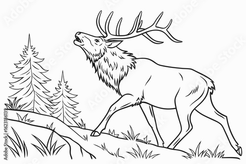 coloring page line art the elk black vector