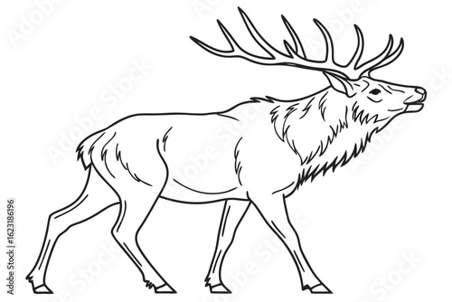 coloring page line art the elk black vector