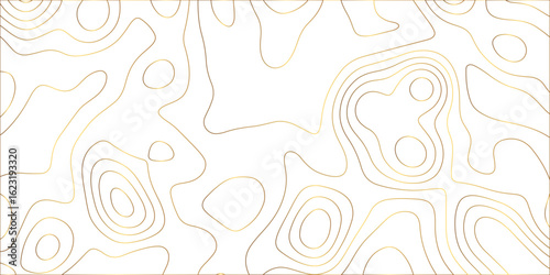 Abstract lines background. Contour maps. Vector illustration. The stylized height of the topographic map contour in lines and contours isolated on transparent. technology topo landscape grid map text	