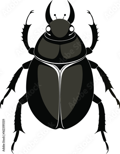 Symmetrical vector illustration of a horned scarab beetle, specimen ID, isolated on a white background for entomology