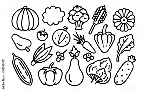 Assorted Fresh Produce Collection vegetables fruits