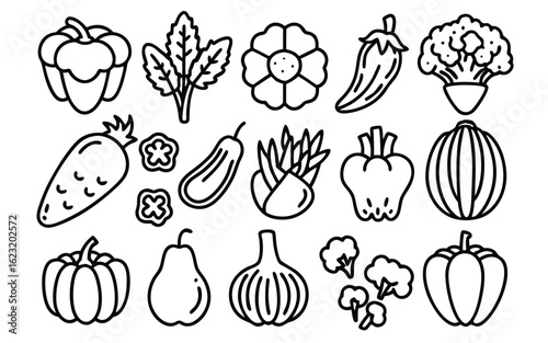 Assorted Garden Produce Collection vegetables fruits
