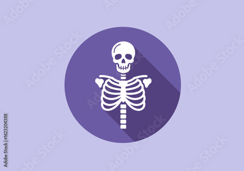White human skeleton icon on a purple circular background. Flat design vector illustration of anatomy, skull, and ribcage with a long shadow.