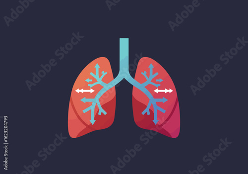 Anatomical Lungs Illustration Conceptual Visual Representation of Respiratory System Health and Function