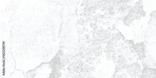 Water splash isolated  Old paper abstract black and white speckled old wall grunge dirty paint overlay dust grain texture background .