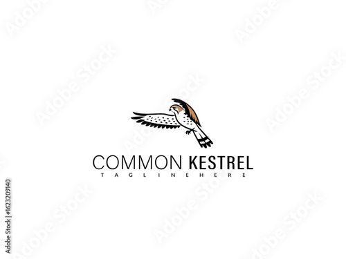 Graceful black and white vector of a kestrel perched calmly on a rock, perfect for classic bird illustration sets, elegant eco branding, and vintage style wildlife decor prints.

